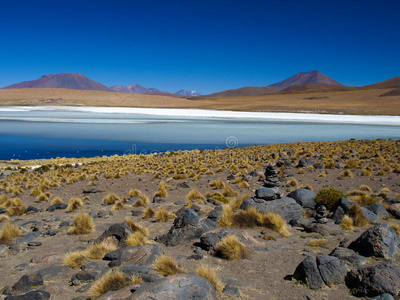 玻利维亚高原蓝色泻湖