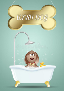 狗洗澡梳洗图片