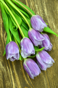 一束美丽的紫罗兰郁金香放在古朴的木桌上