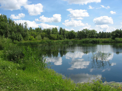 夏季景观公园池塘
