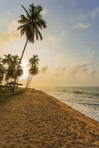 早上在加纳的海滩