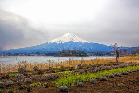 富士山