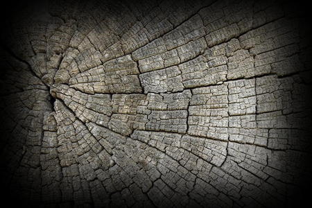 旧橡木表面的裂缝