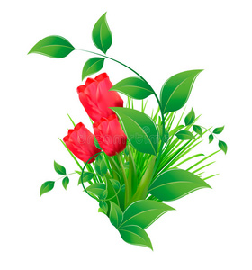 矢量背景，五朵红色郁金香花卉背景图片