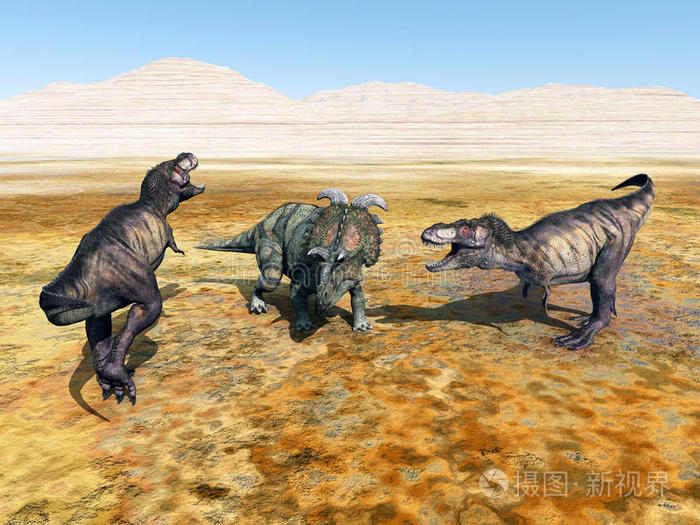 霸王龙和阿尔伯塔龙