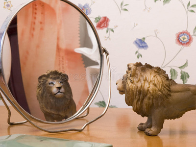 狮子玩具玩具动物狮子照镜子照片