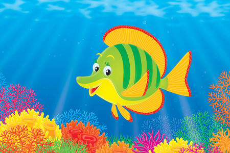 黄绿鱼游在多彩的珊瑚礁