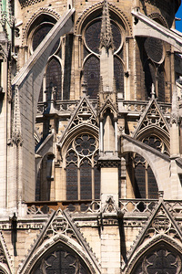 巴黎圣母院大教堂巴黎