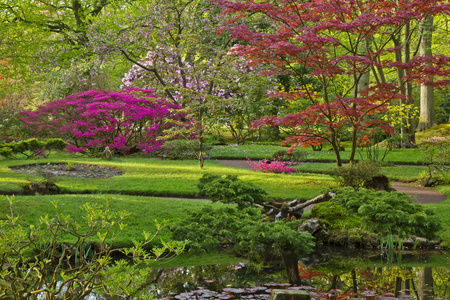 多彩的日本花园