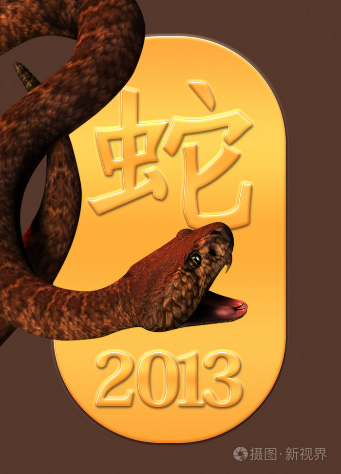 2013 蛇年