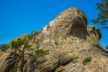 形成出现在金刚山在江原，北 kor