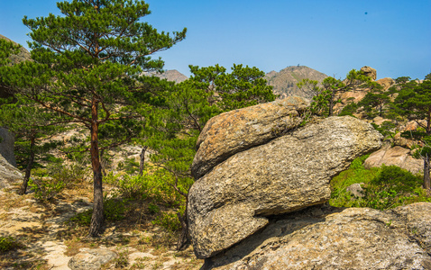 形成出现在金刚山在江原，北 kor