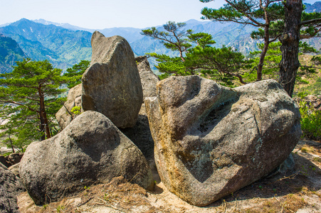 金刚区朝鲜金刚山在江原,北 kor 的性质照片