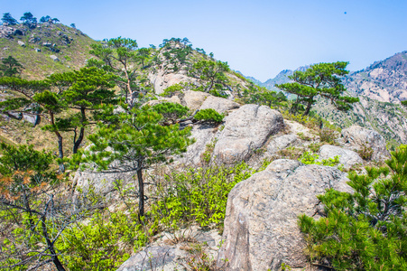 金刚山在朝鲜江原壮观的景色图片