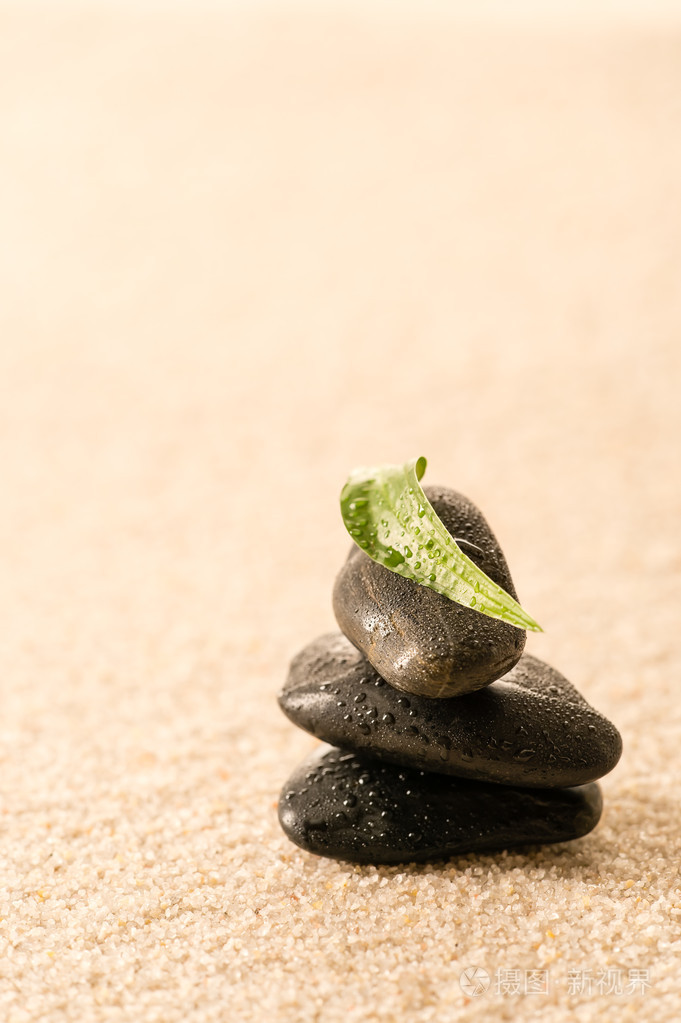 spa禅的石头与叶在沙滩上