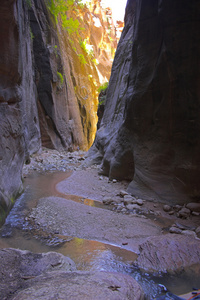 峡谷小溪和河流