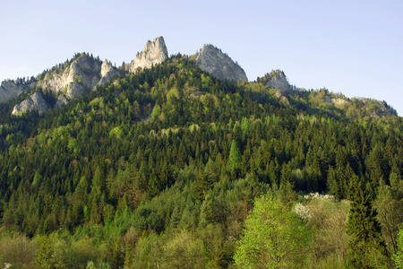 白色岩石和森林在春天 pieniny