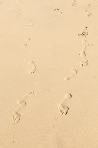 人类的脚步在清洁沙滩