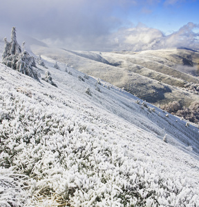 冬季风景与雪