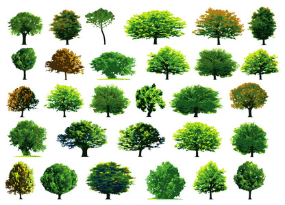 集合绿色树木