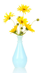 美丽的黄色花朵在花瓶上白色隔离