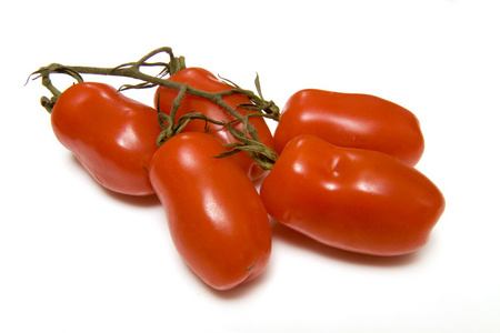 新鲜番茄的藤上图片