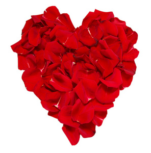 美丽的红玫瑰花瓣上白色隔离的心