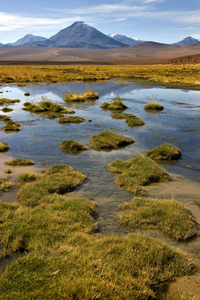 licancabur 火山在阿塔卡马沙漠智利