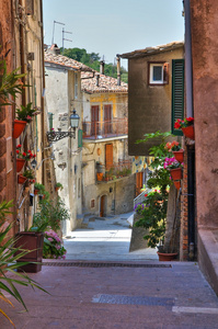 小巷。索里亚诺 nel 奇米诺。拉齐奥。意大利