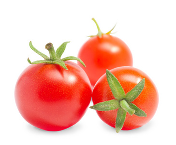 树红熟的西红柿
