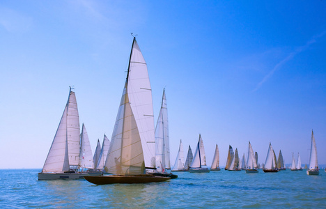 海上帆船赛照片
