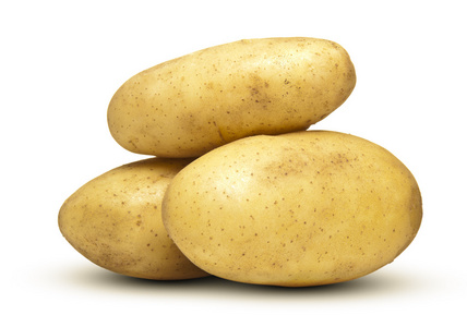 土豆的样子图片
