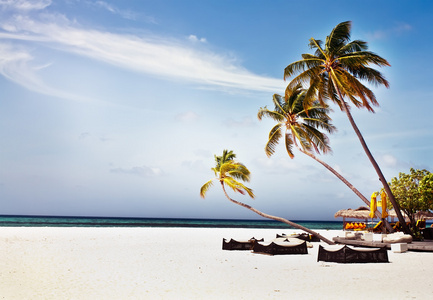 椰子树和海滩沙发与蓝蓝的天空