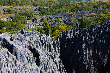 黥基 de Bemaraha