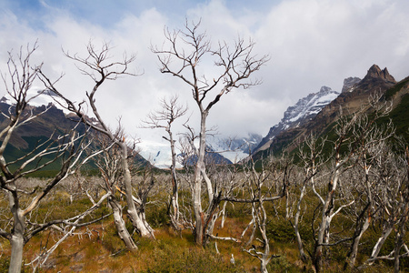 dda trd p mount fitz roy i Patagonien