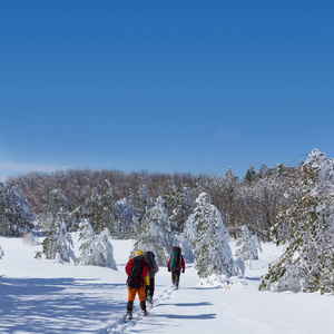 集团的冬季徒步旅行的游客
