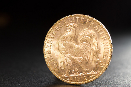 有国宝二十法国法郎硬币照片