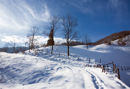 冬季风景与雪