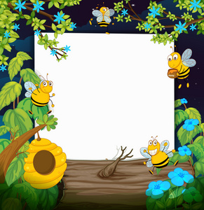 蜜蜂和白板