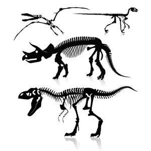 矢量图 恐龙和化石