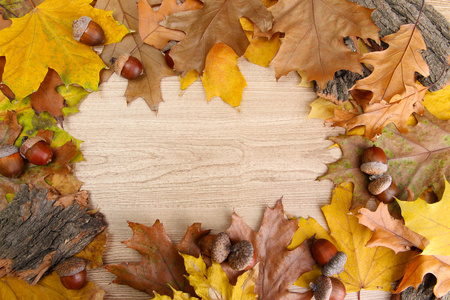 关于秋天的叶子，木制背景上棕色橡子