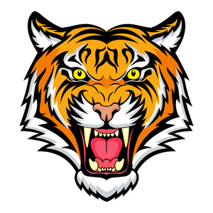 老虎头纹身手稿图片-老虎头纹身手稿素材-老虎头纹身