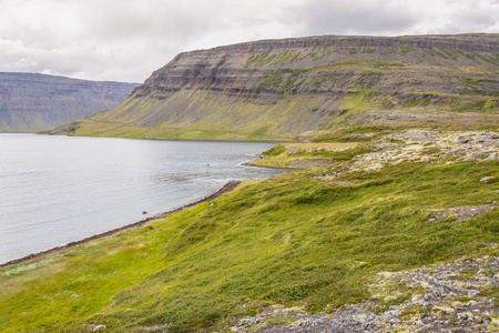 clifs 和 dynjandisvogur 的峡湾冰岛
