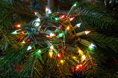 一棵树，特写镜头上的圣诞饰品