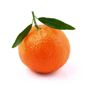 一只橘子与叶