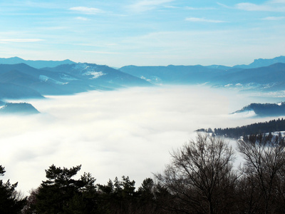 雾雾在山中