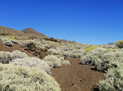 火山景观，耶罗，加纳利群岛