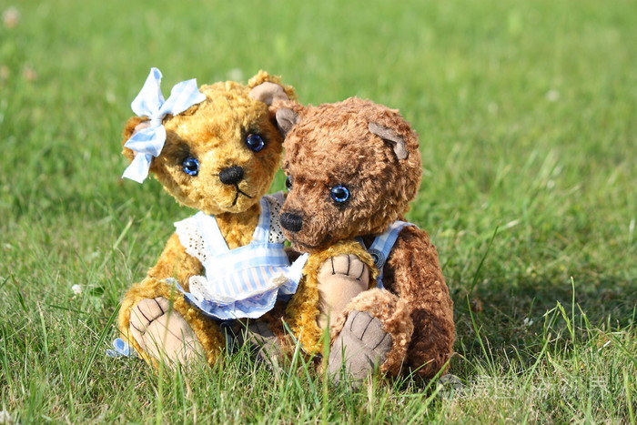 在花园里的两个玩具熊浪漫