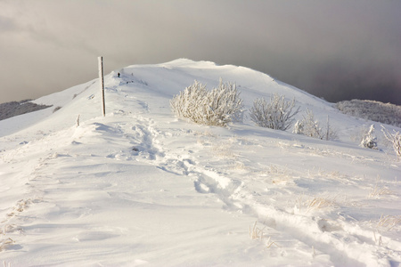 冬山景观 bieszczady 国家公园 波兰