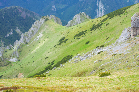 塔特拉山波兰